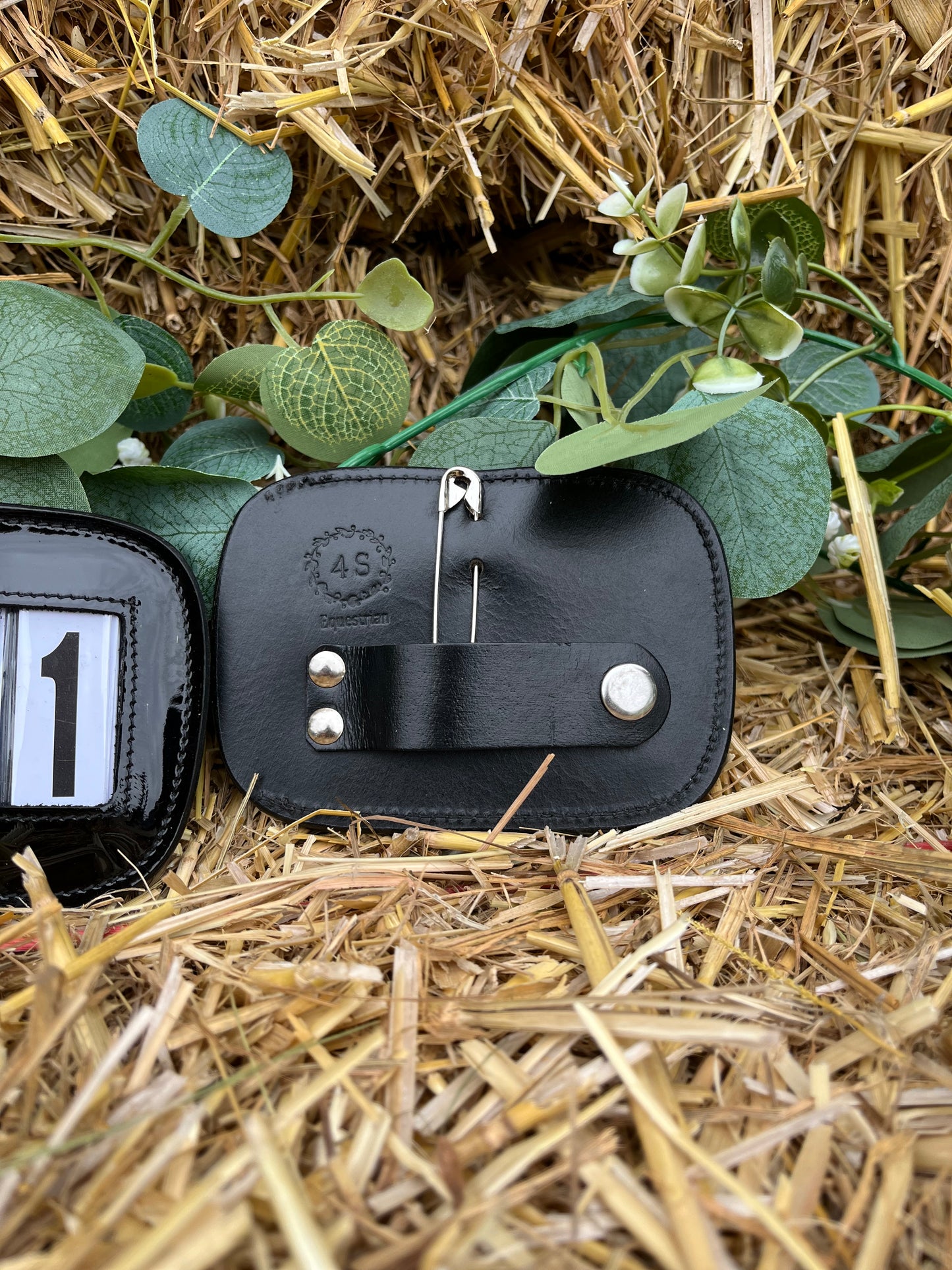 4 Digit Bridle Numbers
