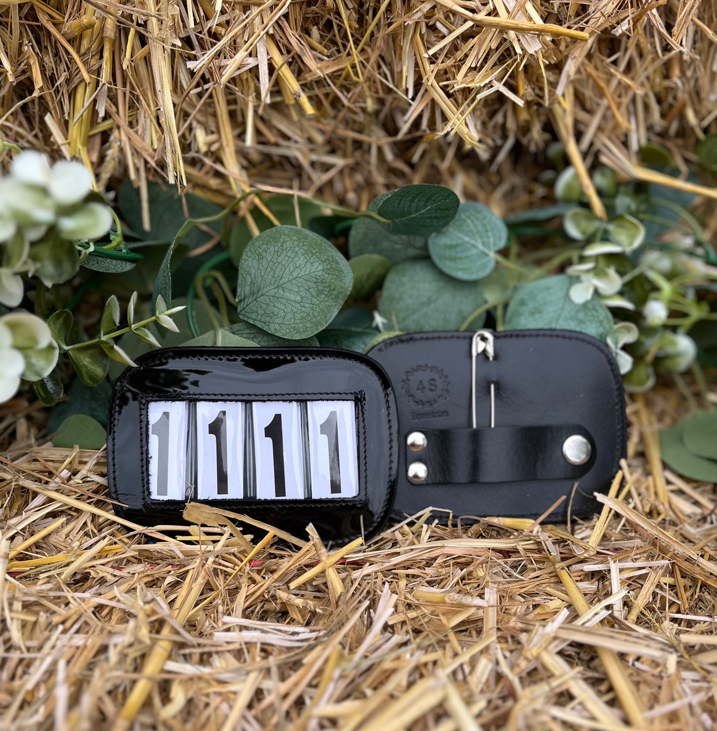4 Digit Bridle Numbers