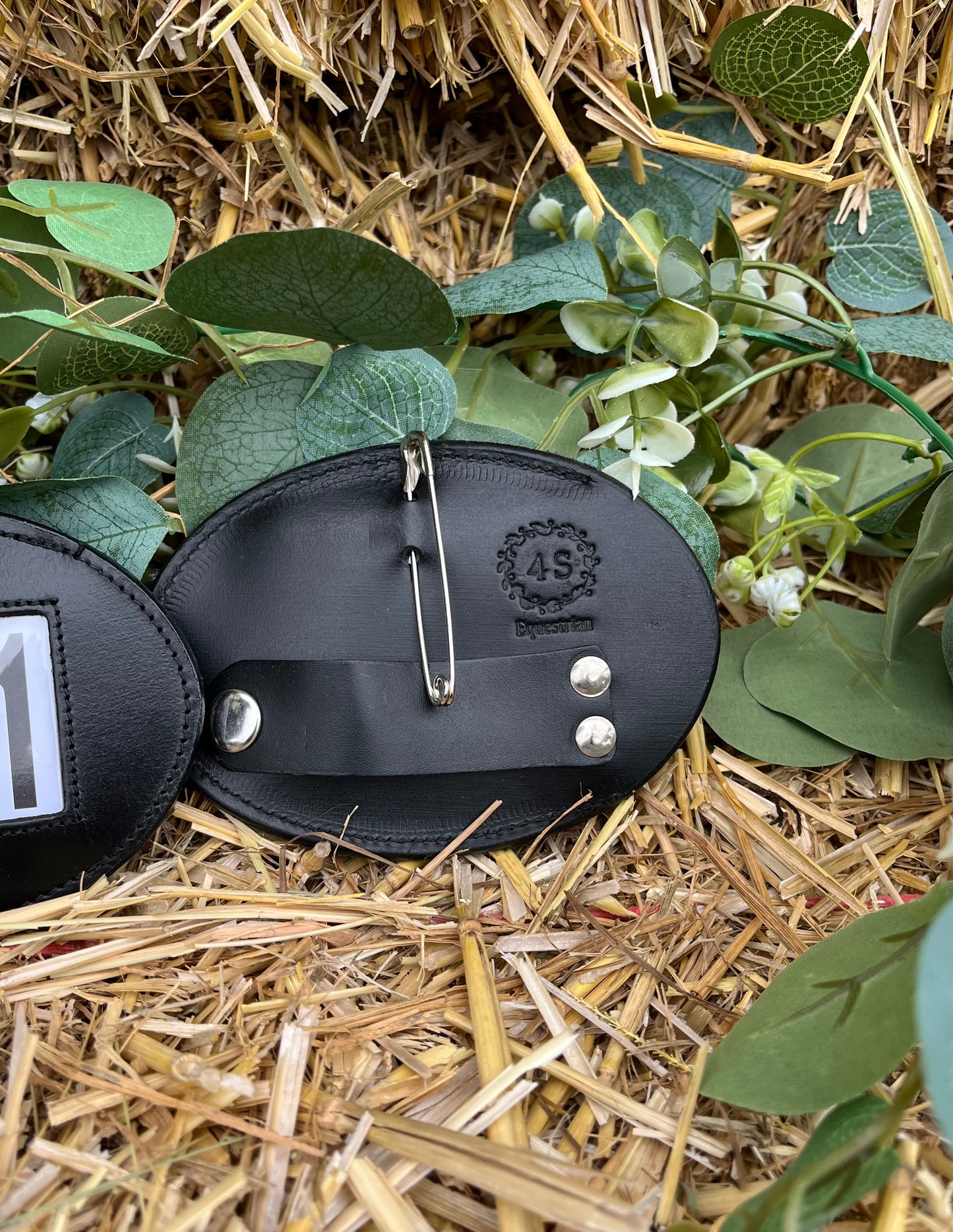 3 Digit Bridle Numbers