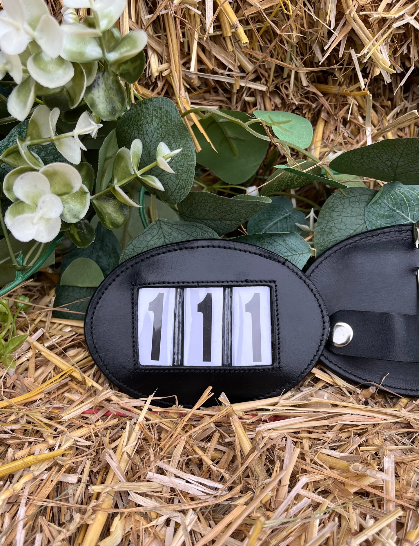 3 Digit Bridle Numbers
