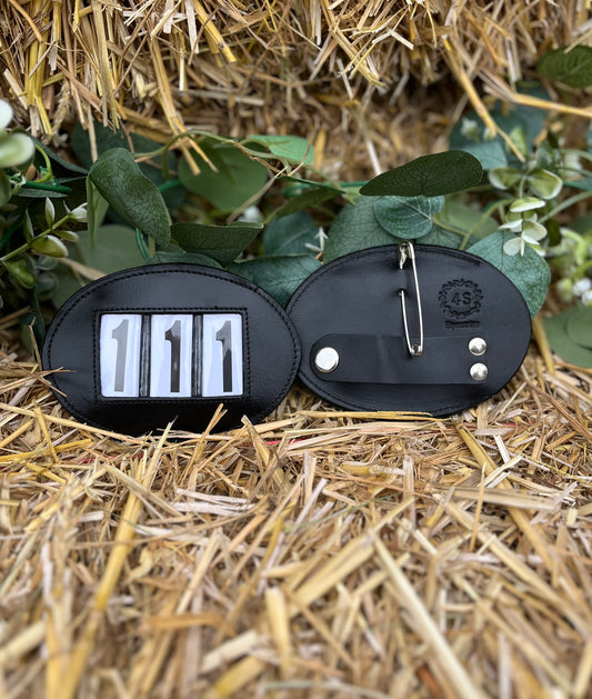 3 Digit Bridle Numbers